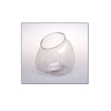 ++DN Fl Globe-5.5 X 6