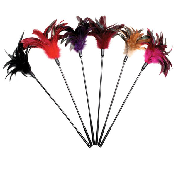 Starburst Natural Feather Tickler (Display)