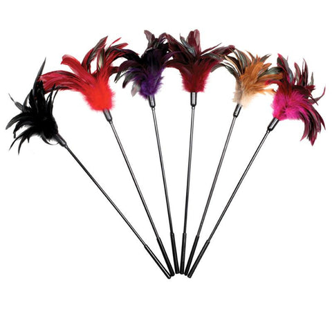 Starburst Natural Feather Tickler (Display)