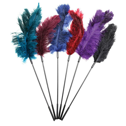 Ostrich Feather Ticklers Display (Assorted)