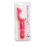 Wet Dreams Big Tease Turbo Wand Plum Crazy