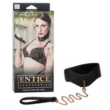 Entice Posture Collar with Leash