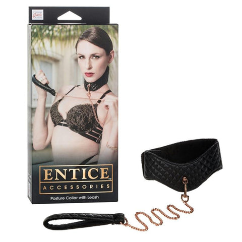 Entice Posture Collar with Leash