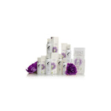 Essence Kit Includes 2ea Lavish Silicone, Satin Water Based, Renew Toy Cleaner,Soothe Massage Oil, Elevate G-Spot Cream, Strength Prolong Cream, 25 Essence Flyers and holder 1 tester each  of Lavis